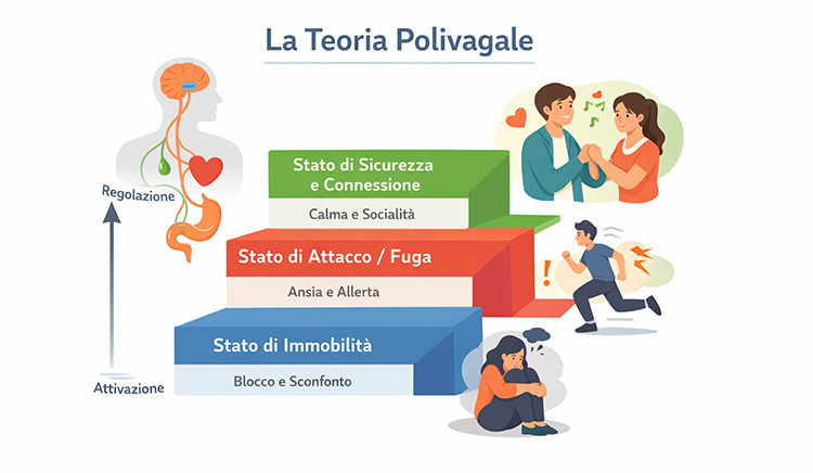La Teoria Polivagale
