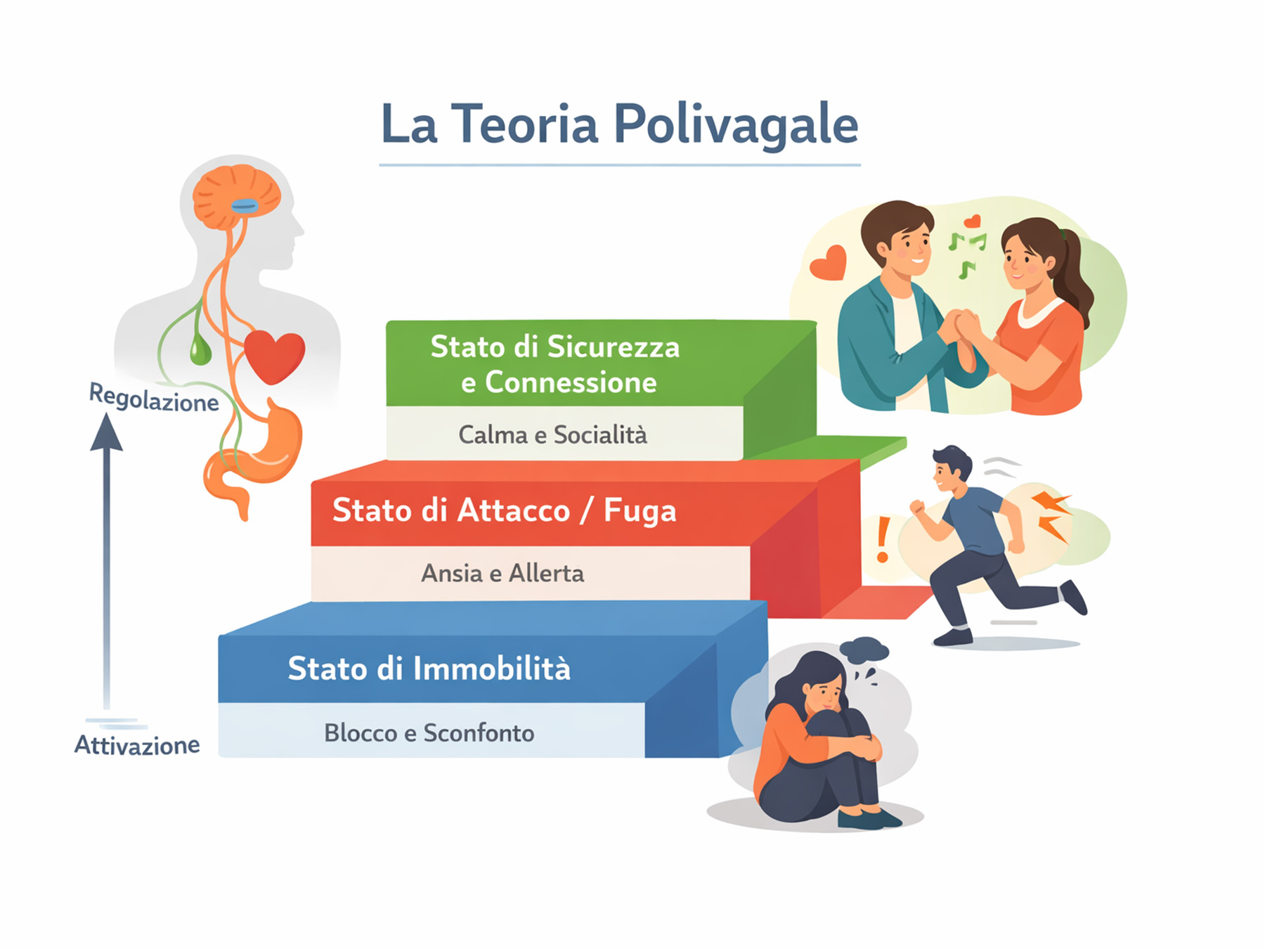 La Teoria Polivagale